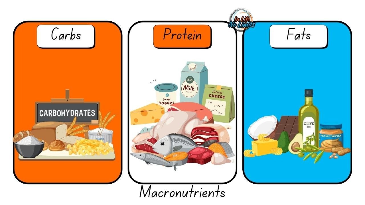blogpost-wellnessonabudget-macronutrients-mePvGObPDMT5aqxj