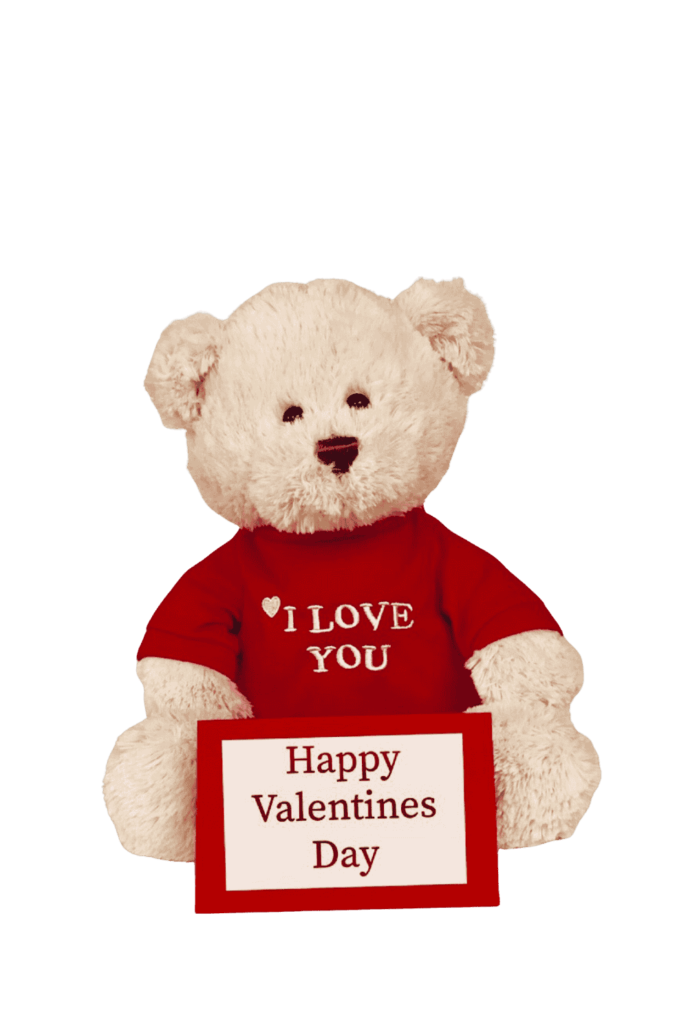 valentines teddy bear